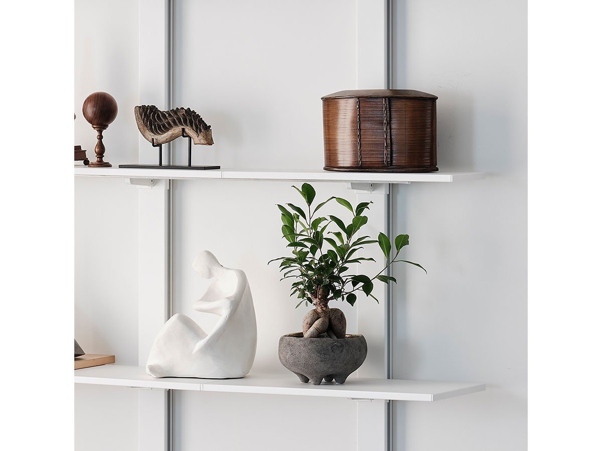 【エアシェルフ/AIR SHELF / GOODS】のCollection Shelf Set / コレクション シェルフ セット 人気、トレンドファッション・服の通販 founy(ファニー) 　コレクション　Collection　スリム　Slim　プレーン　Plane　送料無料　Free Shipping　ホーム・キャンプ・アウトドア・お取り寄せ　Home,Garden,Outdoor,Camping Gear　家具・インテリア　Furniture　収納家具・キャビネット　Storage Furniture　ラック・シェルフ　Rack Shelf　other-5|ID: prp329100004290501 ipo3291000000031466096