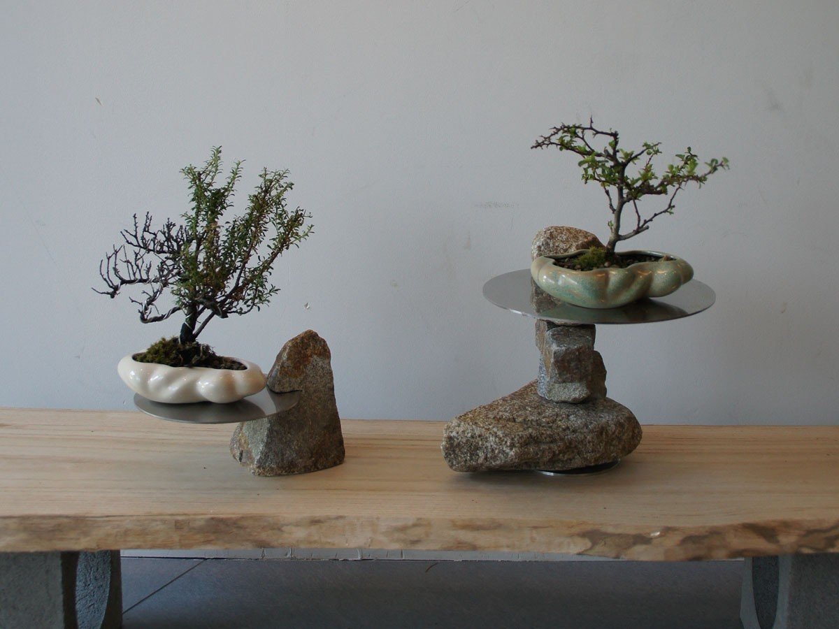 【ココン ボンサイ/KOKON BONSAI / GOODS】の浮雲 - UKIGUMO / 浮雲 + 盆栽 長寿梅 インテリア・キッズ・メンズ・レディースファッション・服の通販 founy(ファニー) 春 Spring 人気 Popular, Best Seller バケツ Bucket, Bucket Style モダン Modern, Contemporary 冬 Winter / This Winter S/S・春夏 SS, Spring/Summer, Warm Season 送料無料 Free Shipping おすすめ Recommended / Our Picks 夏 Summer ホーム・キャンプ・アウトドア・お取り寄せ Home Living / Home & Lifestyle / Camping Gear / Outdoor Camping 家具・インテリア Home Furniture & Interior. Stylish & Functional Living Spaces その他 インテリア雑貨、家具 Home Decor & Furniture Extras 左:掲載外、右:本商品(きせきみどり)|ID: prp329100004348312 ipo3291000000035514137