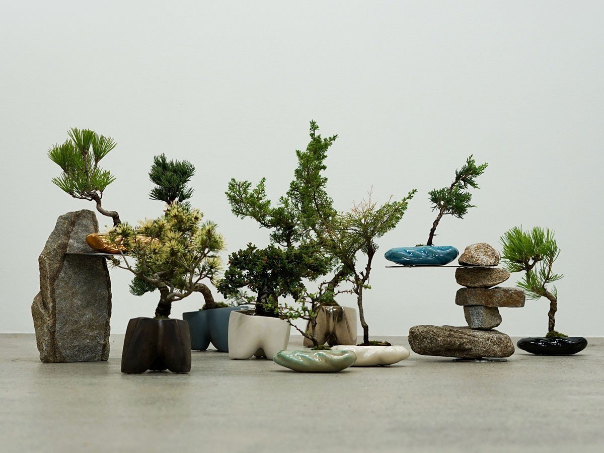 【ココン ボンサイ/KOKON BONSAI / GOODS】の浮雲 - UKIGUMO / 浮雲 + 盆栽 黒松 インテリア・キッズ・メンズ・レディースファッション・服の通販 founy(ファニー) 　春　Spring　人気　Popular, Best Seller　バケツ　Bucket, Bucket Style　モダン　Modern, Contemporary　冬　Winter / This Winter　S/S・春夏　SS, Spring/Summer, Warm Season　送料無料　Free Shipping　おすすめ　Recommended / Our Picks　夏　Summer　ホーム・キャンプ・アウトドア・お取り寄せ　Home Living / Home & Lifestyle / Camping Gear / Outdoor Camping　家具・インテリア　Home Furniture & Interior. Stylish & Functional Living Spaces　その他 インテリア雑貨、家具　Home Decor & Furniture Extras　ブランド参考イメージ|ID: prp329100004348314 ipo3291000000030416453
