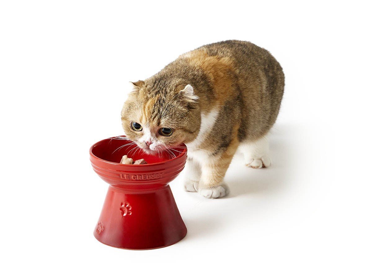 【ル クルーゼ/Le Creuset / GOODS】のHigh Stand Pet Bowl / ハイスタンド・ペットボール インテリア・キッズ・メンズ・レディースファッション・服の通販 founy(ファニー) 　おすすめ　Recommend　コレクション　Collection　フランス　France　犬　Dog　猫　Cat　ホーム・キャンプ・アウトドア・お取り寄せ　Home,Garden,Outdoor,Camping Gear　家具・インテリア　Furniture　その他 インテリア雑貨、家具　Furniture, Interior, Others　チェリーレッド|ID: prp329100004389219 ipo3291000000030683351