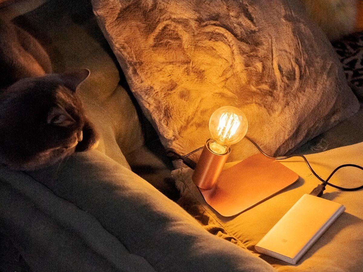 【クリエイティブケーブル/Creative Cables / GOODS】のSI! / スィ! + プレート + A60 ライトバルブ インテリア・キッズ・メンズ・レディースファッション・服の通販 founy(ファニー) 　送料無料　Free Shipping　シンプル　Simple, Minimal　テーブル　Table, Dining Table　プレート　Plate, Dish　マグネット　Magnet, Magnetic Closure　モダン　Modern, Contemporary　モバイル　Mobile, Smartphone　リラックス　Relax, Relaxed Fit　ホーム・キャンプ・アウトドア・お取り寄せ　Home Living / Home & Lifestyle / Camping Gear / Outdoor Camping　家具・インテリア　Home Furniture & Interior. Stylish & Functional Living Spaces　ライト・照明　Lamps & Lighting Fixtures　参考イメージ|ID: prp329100004411233 ipo3291000000035762763