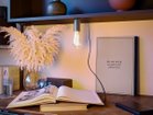 【クリエイティブケーブル/Creative Cables / GOODS】のSI! / スィ! + プレート + ST64 エジソンライトバルブ 人気、トレンドファッション・服の通販 founy(ファニー) 送料無料 Free Shipping ガラス Glass, Glassware シンプル Simple, Minimal テーブル Table, Dining Table プレート Plate, Dish マグネット Magnet, Magnetic Closure モバイル Mobile, Smartphone リラックス Relax, Relaxed Fit ヴィンテージ Vintage Style ホーム・キャンプ・アウトドア・お取り寄せ Home Living / Home & Lifestyle / Camping Gear / Outdoor Camping 家具・インテリア Home Furniture & Interior. Stylish & Functional Living Spaces ライト・照明 Lamps & Lighting Fixtures thumbnail ソケットの底面はマグネット仕様のため、付属プレート以外の金属面にも取付けできます。|ID: prp329100004411235 ipo3291000000033300992