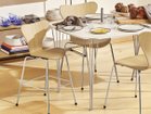 【フリッツ ハンセン/FRITZ HANSEN / GOODS】のDining Room Campaign 2025 SUPERELLIPSE / ダイニングルームキャンペーン 2025 スーパー楕円テーブル スパンレッグ B611 参考イメージ(ラミネート グレー / クローム脚)|ID:prp329100004428827