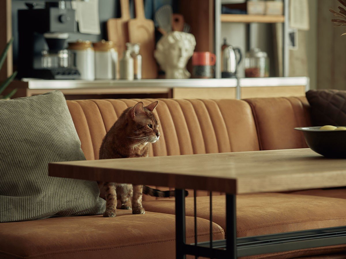 【ノットアンティークス/knot antiques / CRASH GATE / GOODS】のGRESS SOFA / グレス 2人掛けソファ 肘なし 木脚(レザーテックス) 人気、トレンドファッション・服の通販 founy(ファニー) 　オイル　Oil　テーブル　Table　ファブリック　Fabric　ホーム・キャンプ・アウトドア・お取り寄せ　Home,Garden,Outdoor,Camping Gear　家具・インテリア　Furniture　ソファー　Sofa　other-5|ID: prp329100004469150 ipo3291000000031456197