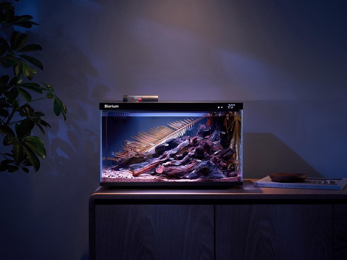 【ビオリウム/Biorium / GOODS】のBiorium Smart Aquarium / ビオリウム スマートアクアリウム インテリア・キッズ・メンズ・レディースファッション・服の通販 founy(ファニー) 　ガラス　Glass　チューブ　Tube　送料無料　Free Shipping　旅行　Travel　ホーム・キャンプ・アウトドア・お取り寄せ　Home,Garden,Outdoor,Camping Gear　家具・インテリア　Furniture　その他 インテリア雑貨、家具　Furniture, Interior, Others　|ID: prp329100004493520 ipo3291000000031686599
