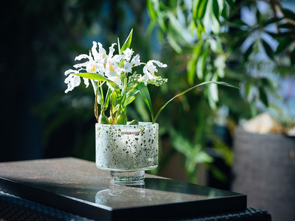 【ヘンリーディーン/Henry Dean / GOODS】のV.Akiko L / V.アキコ L(スタンダードカラー) インテリア・キッズ・メンズ・レディースファッション・服の通販 founy(ファニー) 送料無料 Free Shipping ガラス Glass, Glassware スタンダード Standard, Basic ハンド Hand, Handmade フォルム Silhouette, Form フラワー Flower, Floral ランダム Random, Irregular ホーム・キャンプ・アウトドア・お取り寄せ Home Living / Home & Lifestyle / Camping Gear / Outdoor Camping 家具・インテリア Home Furniture & Interior. Stylish & Functional Living Spaces その他 インテリア雑貨、家具 Home Decor & Furniture Extras カルカッタ|ID: prp329100004537415 ipo3291000000036115723