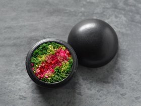 【雨/Ame / GOODS】の花香合 - hanakougo - / 花香合 愁風 人気、トレンドファッション・服の通販 founy(ファニー) 送料無料 Free Shipping オイル Oil ホーム・キャンプ・アウトドア・お取り寄せ Home,Garden,Outdoor,Camping Gear 家具・インテリア Home Furniture & Interior. Stylish & Functional Living Spaces その他 インテリア雑貨、家具 Furniture, Interior, Others |ID:prp329100004586703