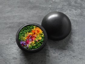 【雨/Ame / GOODS】の花香合 - hanakougo - / 花香合 光風 人気、トレンドファッション・服の通販 founy(ファニー) 送料無料 Free Shipping オイル Oil ホーム・キャンプ・アウトドア・お取り寄せ Home,Garden,Outdoor,Camping Gear 家具・インテリア Home Furniture & Interior. Stylish & Functional Living Spaces その他 インテリア雑貨、家具 Furniture, Interior, Others |ID:prp329100004586705