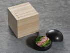 【雨/Ame / GOODS】の花香合 - hanakougo - / 花香合 彩風 香り(アロマオイル)の付属有無をお選びいただけます。セット内容:花香合 単品|ID: prp329100004586707 ipo3291000000032525068