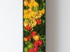 【雨/Ame / GOODS】の天地窓 - tenchimado - / 天地窓 60cm カラーパターン「山錦」参考イメージ|ID: prp329100004586712 ipo3291000000032525130