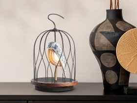 【フライミー プリュス/FLYMEe PLUS / GOODS】のJINGOOs Blue White Peony / ジングーエス LED照明 & Bluetoothスピーカー(ブルーホワイトピオニー) 人気、トレンドファッション・服の通販 founy(ファニー) コレクション Collection, Seasonal Line ミックス Mix, Mixed Style 送料無料 Free Shipping ホーム・キャンプ・アウトドア・お取り寄せ Home Living / Home & Lifestyle / Camping Gear / Outdoor Camping 家具・インテリア Home Furniture & Interior. Stylish & Functional Living Spaces ライト・照明 Lamps & Lighting Fixtures |ID:prp329100004631749