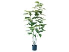 【ブラウン/BROWN / GOODS】のFicus Elastica Pot / フィカス エラスティカ ポット 195 -|ID: prp329100004641715 ipo3291000000033475557
