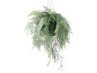 【ブラウン/BROWN / GOODS】のFern Hanging Ball / ファーン ハンギングボール 65 -|ID: prp329100004641719 ipo3291000000033475568