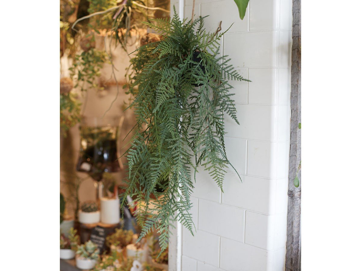 【ブラウン/BROWN / GOODS】のFern Hanging Ball / ファーン ハンギングボール 65 インテリア・キッズ・メンズ・レディースファッション・服の通販 founy(ファニー) 　送料無料　Free Shipping　おすすめ　Recommended / Our Picks　リラックス　Relax, Relaxed Fit　ホーム・キャンプ・アウトドア・お取り寄せ　Home Living / Home & Lifestyle / Camping Gear / Outdoor Camping　家具・インテリア　Home Furniture & Interior. Stylish & Functional Living Spaces　その他 インテリア雑貨、家具　Home Decor & Furniture Extras　参考イメージ|ID: prp329100004641719 ipo3291000000033475570