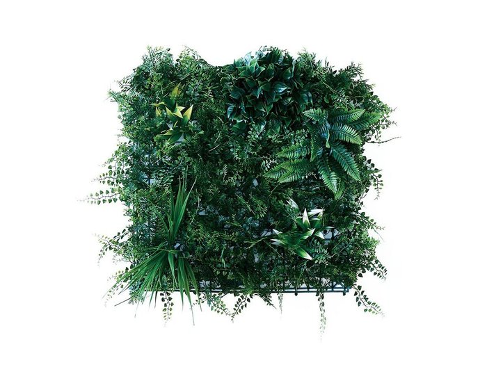 【ブラウン/BROWN / GOODS】のGreen Wall / グリーンウォール 50 DF インテリア・キッズ・メンズ・レディースファッション・服の通販 founy(ファニー) https://founy.com/ サッカー Seersucker, Summer Fabric メッシュ Mesh, Net Fabric おすすめ Recommended / Our Picks ホーム・キャンプ・アウトドア・お取り寄せ Home Living / Home & Lifestyle / Camping Gear / Outdoor Camping 家具・インテリア Home Furniture & Interior. Stylish & Functional Living Spaces その他 インテリア雑貨、家具 Home Decor & Furniture Extras |ID: prp329100004641722 ipo3291000000033475583