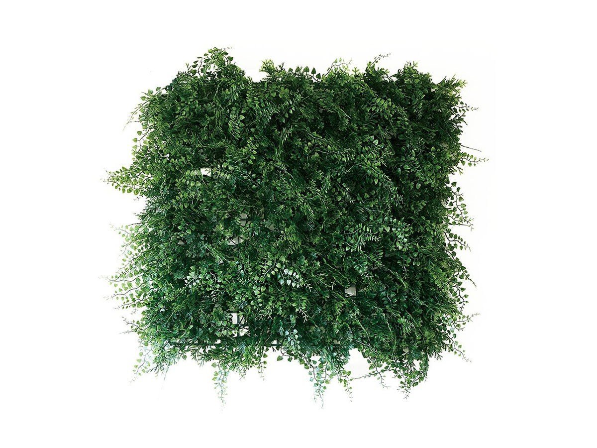 【ブラウン/BROWN / GOODS】のGreen Wall / グリーンウォール 50 FE 人気、トレンドファッション・服の通販 founy(ファニー) 　サッカー　Seersucker, Summer Fabric　メッシュ　Mesh, Net Fabric　おすすめ　Recommended / Our Picks　ホーム・キャンプ・アウトドア・お取り寄せ　Home Living / Home & Lifestyle / Camping Gear / Outdoor Camping　家具・インテリア　Home Furniture & Interior. Stylish & Functional Living Spaces　その他 インテリア雑貨、家具　Home Decor & Furniture Extras　 other-1|ID: prp329100004641723 ipo3291000000033475589
