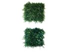 【ブラウン/BROWN / GOODS】のGreen Wall / グリーンウォール 50 FE 上:本商品、右:グリーンウォール 50 DF|ID:prp329100004641723