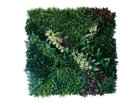 【ブラウン/BROWN / GOODS】のGreen Wall / グリーンウォール 100 HC -|ID: prp329100004641727 ipo3291000000033475616