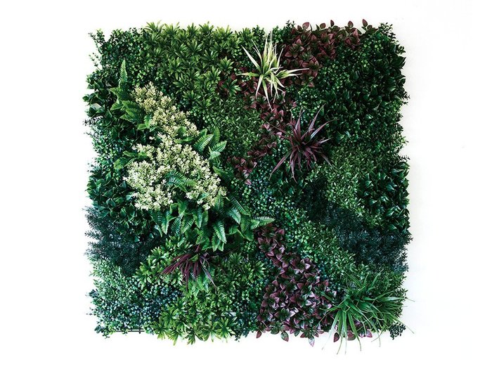 【ブラウン/BROWN / GOODS】のGreen Wall / グリーンウォール 100 HA インテリア・キッズ・メンズ・レディースファッション・服の通販 founy(ファニー) https://founy.com/ サッカー Seersucker, Summer Fabric メッシュ Mesh, Net Fabric 送料無料 Free Shipping おすすめ Recommended / Our Picks ホーム・キャンプ・アウトドア・お取り寄せ Home Living / Home & Lifestyle / Camping Gear / Outdoor Camping 家具・インテリア Home Furniture & Interior. Stylish & Functional Living Spaces その他 インテリア雑貨、家具 Home Decor & Furniture Extras |ID: prp329100004641729 ipo3291000000033475625