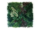 【ブラウン/BROWN / GOODS】のGreen Wall / グリーンウォール 100 HA -|ID: prp329100004641729 ipo3291000000033475626