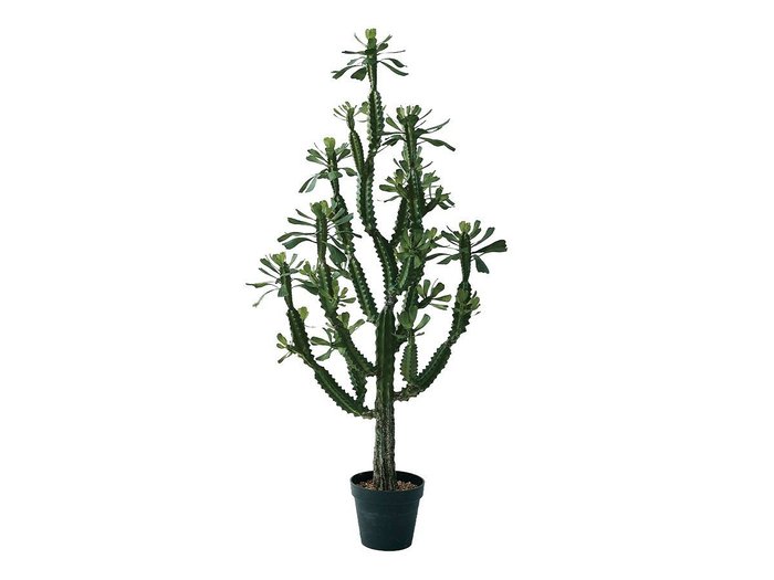 【ブラウン/BROWN / GOODS】のEuphorbia Pot / ユーフォルビア ポット 147 インテリア・キッズ・メンズ・レディースファッション・服の通販 founy(ファニー) https://founy.com/ 送料無料 Free Shipping おすすめ Recommended / Our Picks ホーム・キャンプ・アウトドア・お取り寄せ Home Living / Home & Lifestyle / Camping Gear / Outdoor Camping 家具・インテリア Home Furniture & Interior. Stylish & Functional Living Spaces その他 インテリア雑貨、家具 Home Decor & Furniture Extras |ID: prp329100004641733 ipo3291000000033475643