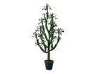 【ブラウン/BROWN / GOODS】のEuphorbia Pot / ユーフォルビア ポット 147 -|ID: prp329100004641733 ipo3291000000033475645