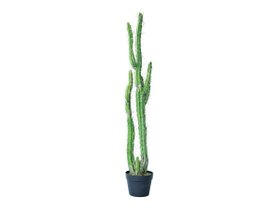 【ブラウン/BROWN / GOODS】のColumn Cactus Pot / 柱サボテン ポット 118 人気、トレンドファッション・服の通販 founy(ファニー) 送料無料 Free Shipping おすすめ Recommended / Our Picks ホーム・キャンプ・アウトドア・お取り寄せ Home Living / Home & Lifestyle / Camping Gear / Outdoor Camping 家具・インテリア Home Furniture & Interior. Stylish & Functional Living Spaces その他 インテリア雑貨、家具 Home Decor & Furniture Extras |ID:prp329100004641736