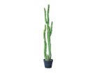 【その他のブランド/Other】のColumn Cactus Pot / 柱サボテン ポット 118 -|ID: prp329100004641736 ipo3291000000033475656