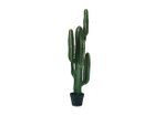 【その他のブランド/Other】のColumn Cactus Pot / 柱サボテン ポット 112 -|ID: prp329100004641737 ipo3291000000033475661