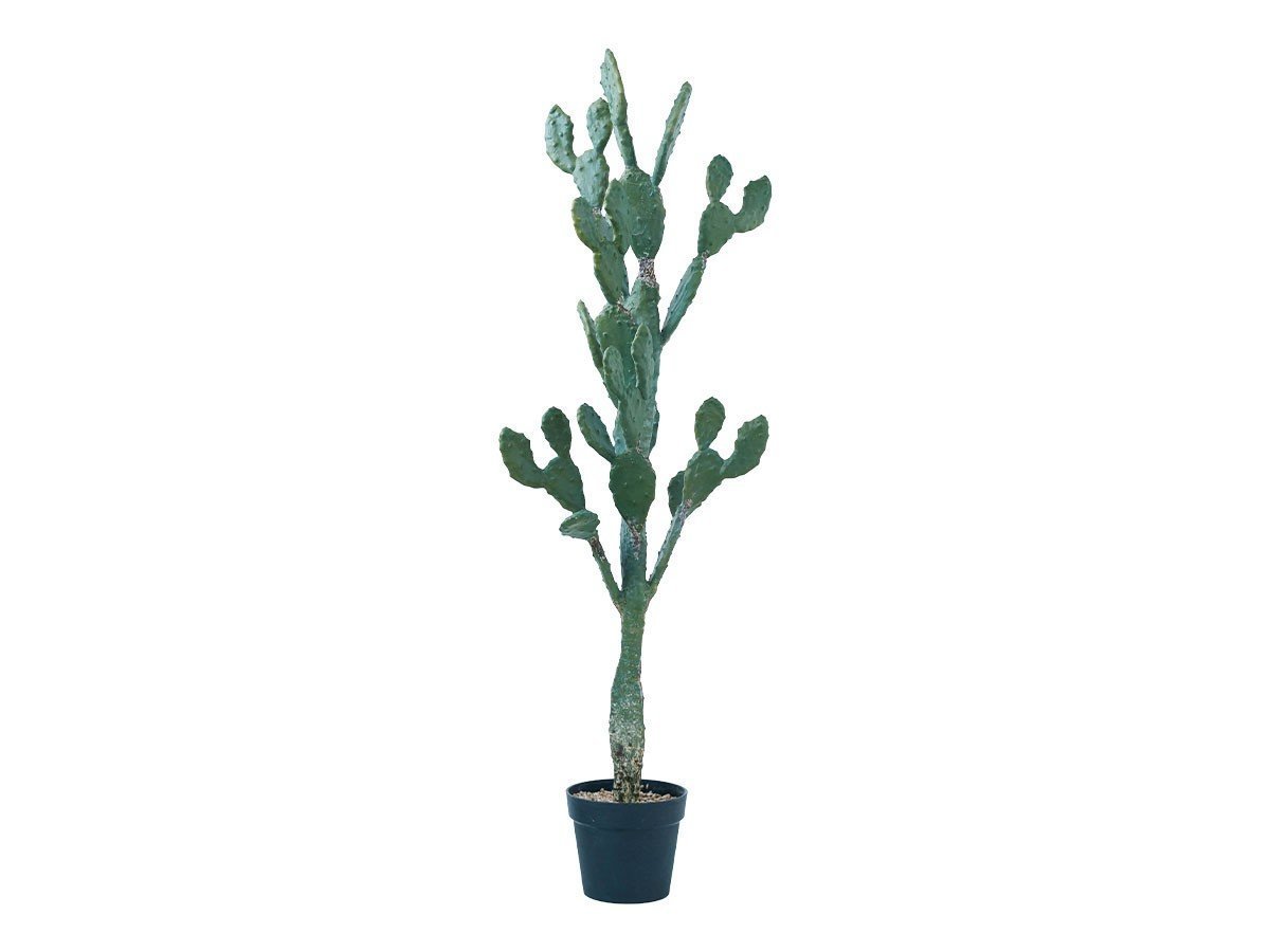 【ブラウン/BROWN / GOODS】のPrickly Pear Cactus Pot / ウチワサボテン ポット 130 人気、トレンドファッション・服の通販 founy(ファニー) 　送料無料　Free Shipping　おすすめ　Recommended / Our Picks　ホーム・キャンプ・アウトドア・お取り寄せ　Home Living / Home & Lifestyle / Camping Gear / Outdoor Camping　家具・インテリア　Home Furniture & Interior. Stylish & Functional Living Spaces　その他 インテリア雑貨、家具　Home Decor & Furniture Extras　 other-1|ID: prp329100004641741 ipo3291000000033475681