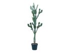 【その他のブランド/Other】のPrickly Pear Cactus Pot / ウチワサボテン ポット 130 -|ID: prp329100004641741 ipo3291000000033475682