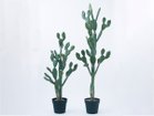 【その他のブランド/Other】のPrickly Pear Cactus Pot / ウチワサボテン ポット 130 サイズ展開がありますので、鉢や設置場所、空間に合わせてお選びいただけます。左:高さ1|ID: prp329100004641741 ipo3291000000033475683