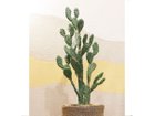 【その他のブランド/Other】のPrickly Pear Cactus Pot / ウチワサボテン ポット 130 参考イメージ|ID: prp329100004641741 ipo3291000000033475686