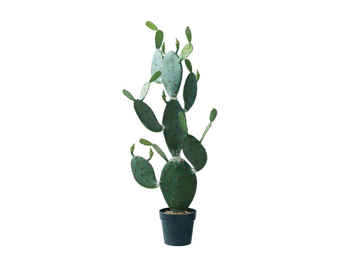 【ブラウン/BROWN / GOODS】のPrickly Pear Cactus Pot / ウチワサボテン ポット 117 インテリア・キッズ・メンズ・レディースファッション・服の通販 founy(ファニー) 　送料無料　Free Shipping　おすすめ　Recommended / Our Picks　ホーム・キャンプ・アウトドア・お取り寄せ　Home Living / Home & Lifestyle / Camping Gear / Outdoor Camping　家具・インテリア　Home Furniture & Interior. Stylish & Functional Living Spaces　その他 インテリア雑貨、家具　Home Decor & Furniture Extras　-|ID: prp329100004641742 ipo3291000000033475693