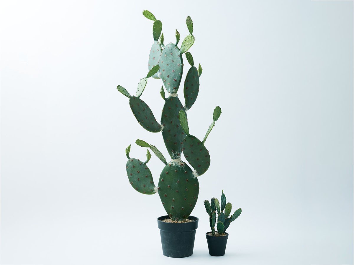 【ブラウン/BROWN / GOODS】のPrickly Pear Cactus Pot / ウチワサボテン ポット 117 インテリア・キッズ・メンズ・レディースファッション・服の通販 founy(ファニー) 　送料無料　Free Shipping　おすすめ　Recommended / Our Picks　ホーム・キャンプ・アウトドア・お取り寄せ　Home Living / Home & Lifestyle / Camping Gear / Outdoor Camping　家具・インテリア　Home Furniture & Interior. Stylish & Functional Living Spaces　その他 インテリア雑貨、家具　Home Decor & Furniture Extras　左:本商品、右:掲載外|ID: prp329100004641742 ipo3291000000033475694