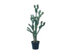 【その他のブランド/Other】のPrickly Pear Cactus Pot / ウチワサボテン ポット 100 -|ID: prp329100004641743 ipo3291000000033475696