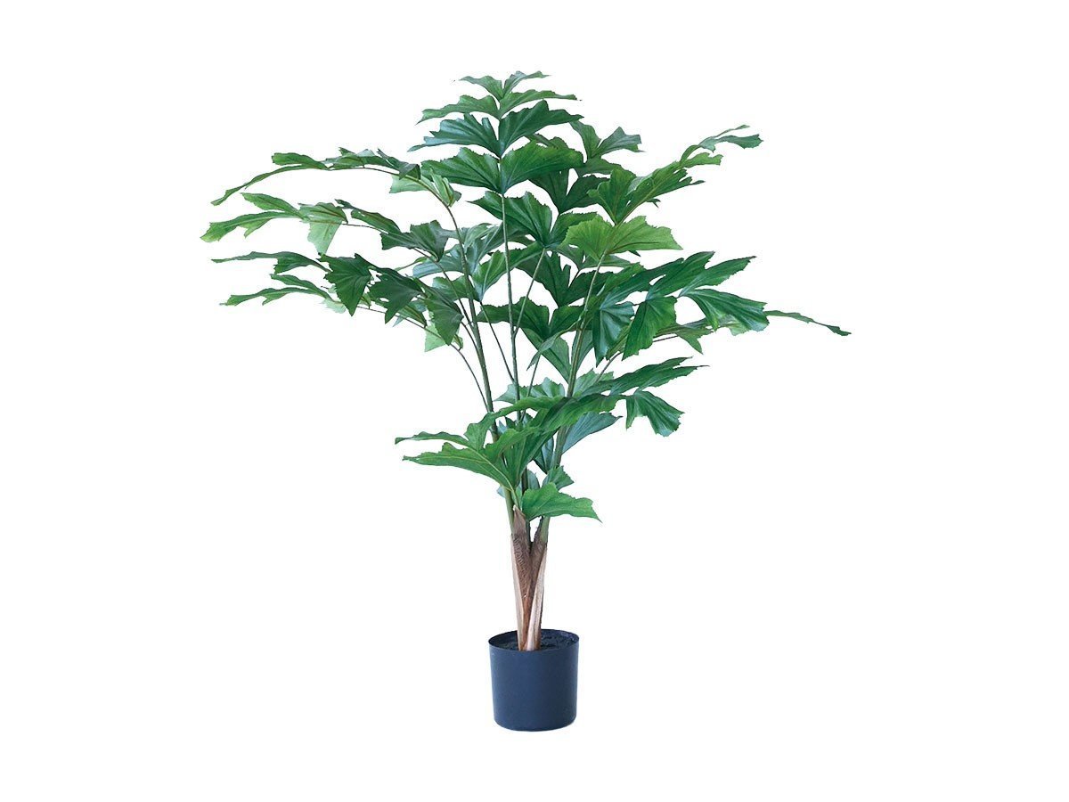 【ブラウン/BROWN / GOODS】のPeacock Palm Pot / クジャクヤシ ポット 90 人気、トレンドファッション・服の通販 founy(ファニー) 　おすすめ　Recommended / Our Picks　ホーム・キャンプ・アウトドア・お取り寄せ　Home Living / Home & Lifestyle / Camping Gear / Outdoor Camping　家具・インテリア　Home Furniture & Interior. Stylish & Functional Living Spaces　その他 インテリア雑貨、家具　Home Decor & Furniture Extras　 other-1|ID: prp329100004641745 ipo3291000000033475702