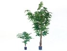 【その他のブランド/Other】のPeacock Palm Pot / クジャクヤシ ポット 210 サイズ展開がありますので、鉢や設置場所、空間に合わせてお選びいただけます。左:高さ9|ID: prp329100004641746 ipo3291000000033475709