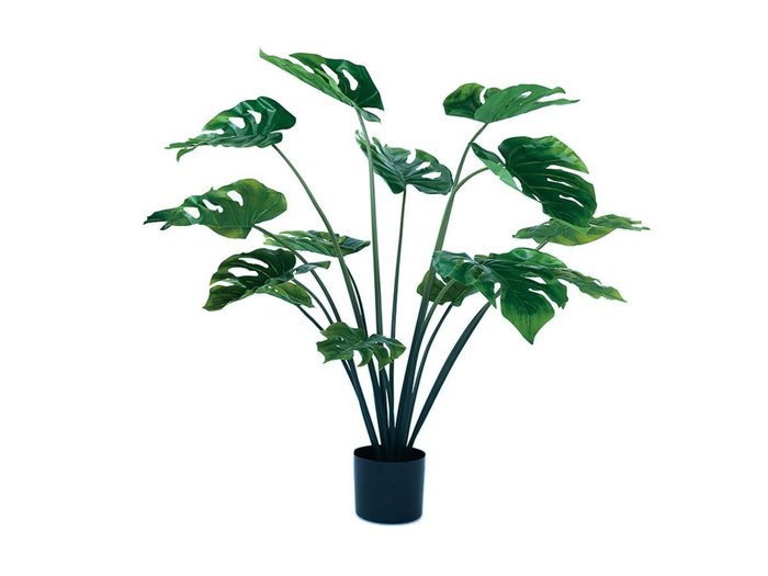 【その他のブランド/Other】のMonstera Pot / モンステラ ポット 97 インテリア・キッズ・メンズ・レディースファッション・服の通販 founy(ファニー) https://founy.com/ おすすめ Recommended / Our Picks ホーム・キャンプ・アウトドア・お取り寄せ Home Living / Home & Lifestyle / Camping Gear / Outdoor Camping 家具・インテリア Home Furniture & Interior. Stylish & Functional Living Spaces その他 インテリア雑貨、家具 Home Decor & Furniture Extras |ID: prp329100004641748 ipo3291000000033475713