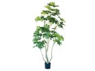 【その他のブランド/Other】のJapanese Aralia Pot / ヤツデ ポット 190 -|ID: prp329100004641750 ipo3291000000033475720