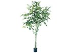 【ブラウン/BROWN / GOODS】のFicus benjamina Pot / ベンジャミン ポット 210 -|ID: prp329100004641754 ipo3291000000033475743