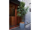 【ブラウン/BROWN / GOODS】のFicus benjamina Pot / ベンジャミン ポット 210 参考イメージ|ID: prp329100004641754 ipo3291000000033475744