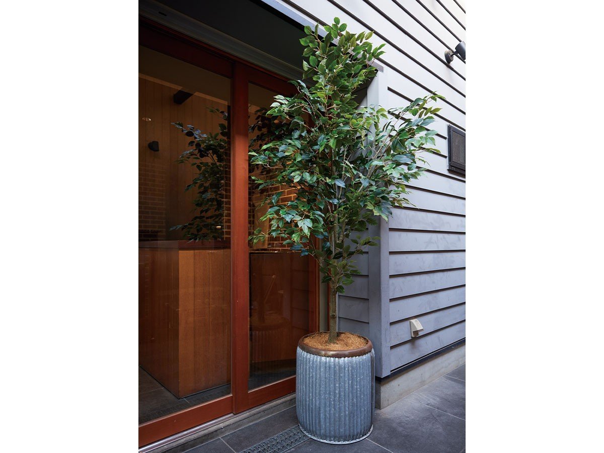 【ブラウン/BROWN / GOODS】のFicus benjamina Pot / ベンジャミン ポット 210 インテリア・キッズ・メンズ・レディースファッション・服の通販 founy(ファニー) 　送料無料　Free Shipping　おすすめ　Recommended / Our Picks　ホーム・キャンプ・アウトドア・お取り寄せ　Home Living / Home & Lifestyle / Camping Gear / Outdoor Camping　家具・インテリア　Home Furniture & Interior. Stylish & Functional Living Spaces　その他 インテリア雑貨、家具　Home Decor & Furniture Extras　参考イメージ|ID: prp329100004641754 ipo3291000000033475744