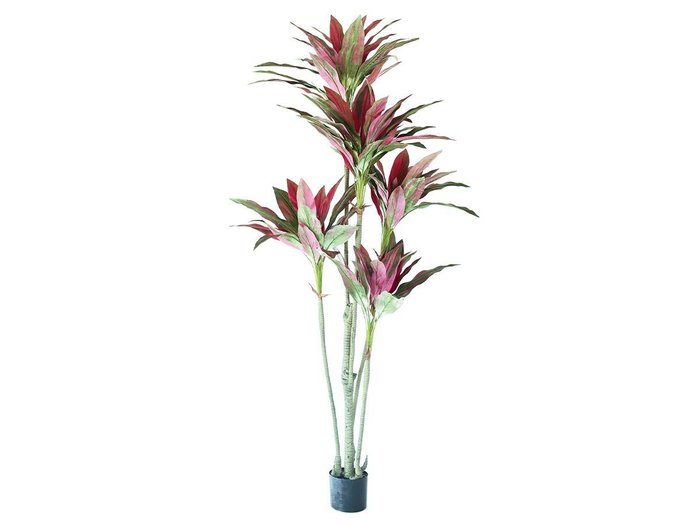 【ブラウン/BROWN / GOODS】のDracaena Pot Purple / ドラセナ ポット 180 パープル インテリア・キッズ・メンズ・レディースファッション・服の通販 founy(ファニー) https://founy.com/ 送料無料 Free Shipping おすすめ Recommended / Our Picks パープル Purple, Violet ホーム・キャンプ・アウトドア・お取り寄せ Home Living / Home & Lifestyle / Camping Gear / Outdoor Camping 家具・インテリア Home Furniture & Interior. Stylish & Functional Living Spaces その他 インテリア雑貨、家具 Home Decor & Furniture Extras |ID: prp329100004641756 ipo3291000000033475750