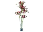 【ブラウン/BROWN / GOODS】のDracaena Pot Purple / ドラセナ ポット 180 パープル -|ID: prp329100004641756 ipo3291000000033475751