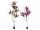 【ブラウン/BROWN / GOODS】のDracaena Pot Purple / ドラセナ ポット 150 パープル サイズ展開がありますので、鉢や設置場所、空間に合わせてお選びいただけます。左:ドラセ|ID: prp329100004641757 ipo3291000000033475760