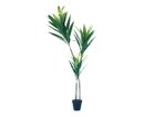 【ブラウン/BROWN / GOODS】のDracaena Pot / ドラセナ ポット 140 グリーン -|ID: prp329100004641758 ipo3291000000033475764