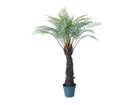 【ブラウン/BROWN / GOODS】のDicksonia Pot / ディクソニア ポット 122 -|ID: prp329100004641760 ipo3291000000033475769