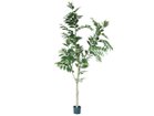【ブラウン/BROWN / GOODS】のCoffee Plant Pot / コーヒーの木 ポット 205 -|ID: prp329100004641762 ipo3291000000033475780