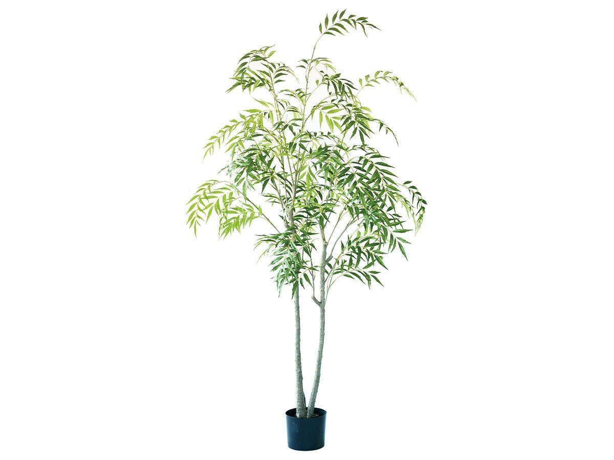 【ブラウン/BROWN / GOODS】のChinese Mahonia Pot / マホニア コンフューサ ポット 180 人気、トレンドファッション・服の通販 founy(ファニー) 　送料無料　Free Shipping　おすすめ　Recommended / Our Picks　ホーム・キャンプ・アウトドア・お取り寄せ　Home Living / Home & Lifestyle / Camping Gear / Outdoor Camping　家具・インテリア　Home Furniture & Interior. Stylish & Functional Living Spaces　その他 インテリア雑貨、家具　Home Decor & Furniture Extras　 other-1|ID: prp329100004641764 ipo3291000000033475791